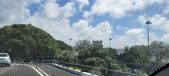 Enlarge photo 284
