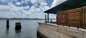 Enlarge photo 288
