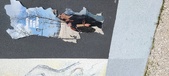 Enlarge photo 313