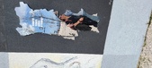 Enlarge photo 314