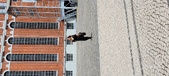 Enlarge photo 338