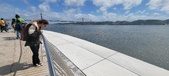 Enlarge photo 361