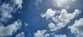 Enlarge photo 389