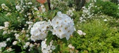 Enlarge photo 403