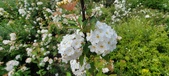 Enlarge photo 404