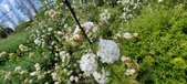 Enlarge photo 405