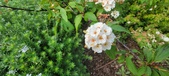 Enlarge photo 407