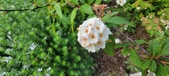 Enlarge photo 411