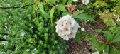 Enlarge photo 412