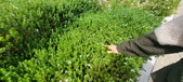 Enlarge photo 414