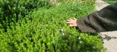 Enlarge photo 416