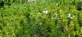 Enlarge photo 418