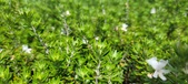 Enlarge photo 419