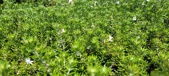 Enlarge photo 420