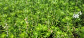 Enlarge photo 422