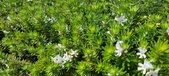 Enlarge photo 427
