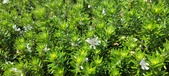 Enlarge photo 426