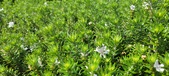 Enlarge photo 425