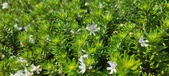 Enlarge photo 424