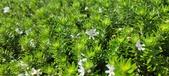 Enlarge photo 431