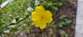 Enlarge photo 430