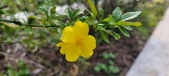 Enlarge photo 429