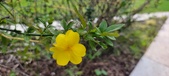 Enlarge photo 432