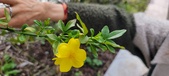 Enlarge photo 433