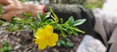 Enlarge photo 435