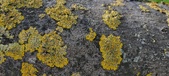 Enlarge photo 438