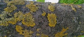 Enlarge photo 437
