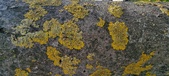 Enlarge photo 436