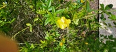 Enlarge photo 451