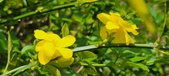 Enlarge photo 449