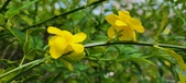 Enlarge photo 448
