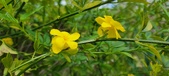 Enlarge photo 455