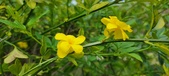Enlarge photo 454