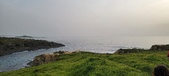 Enlarge photo 35