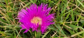 Enlarge photo 46