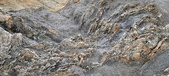 Enlarge photo 135