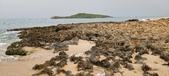 Enlarge photo 50