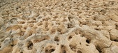 Enlarge photo 61