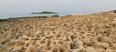 Enlarge photo 62