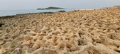 Enlarge photo 63