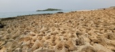 Enlarge photo 64