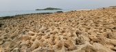 Enlarge photo 65