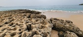 Enlarge photo 66