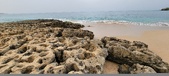 Enlarge photo 76