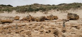Enlarge photo 74