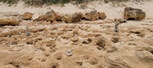 Enlarge photo 75